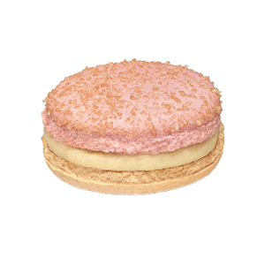 Macaron Rose et Litchi